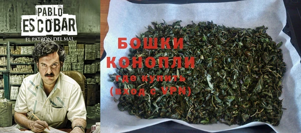 прущие грибы Дубна