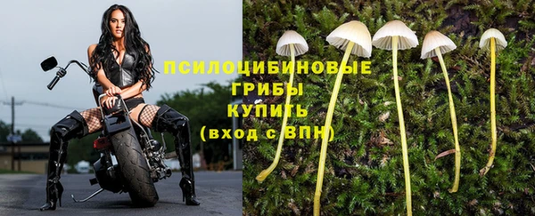 меф Арсеньев